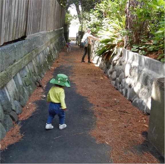 森のようちえん